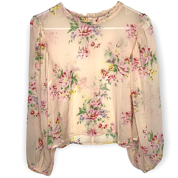 American Eagle Outfitters Tops - American Eagle Sheer Floral Balloon Sleeve Ruffle Neck Blouse